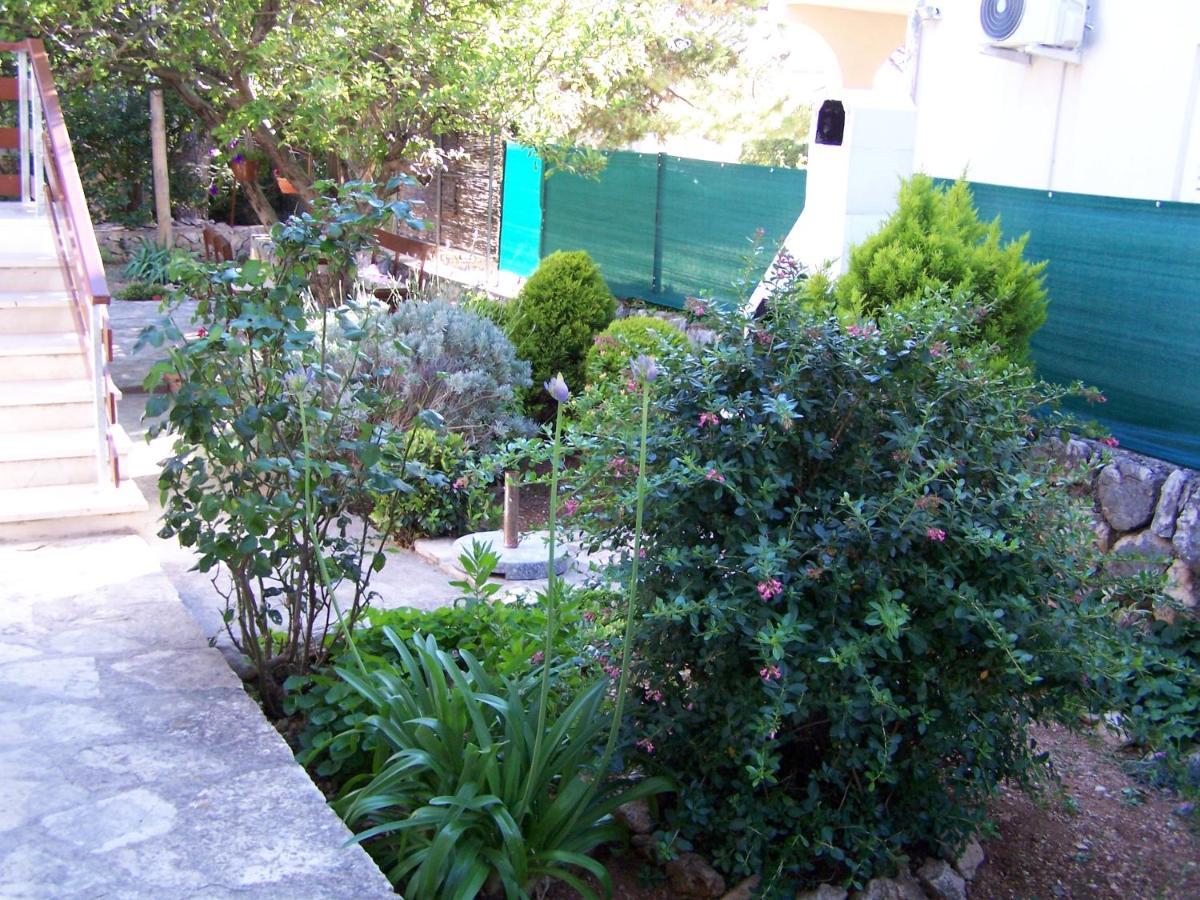 Apartments Sestan Novalja Εξωτερικό φωτογραφία